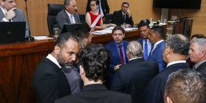 Câmara aprova aumento de multas por maus-tratos a animais