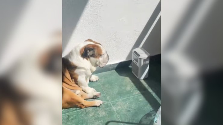 Chuva forte não afasta fiéis da missa de São Sebastião no Rio