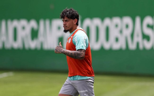 Gómez disputará mais uma semifinal de Libertadores pelo Palmeiras