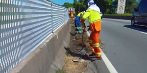 Via Dutra recebe serviço de capina e limpeza; veja onde