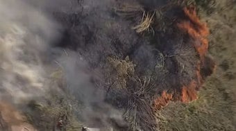 Incêndio em área de mata faz escolas serem evacuadas na Grande SP