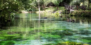Bonito (MS) une rios transparentes e turismo de natureza