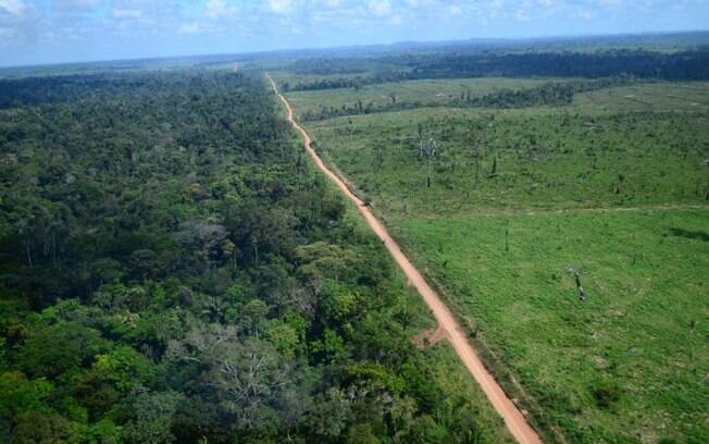 Imagem de área desmatada em Novo Progresso, no Pará. Cerca de 580 mil campos de futebol são derrubados anualmente no Brasil para serem convertidos em pastagem, diz TRASE