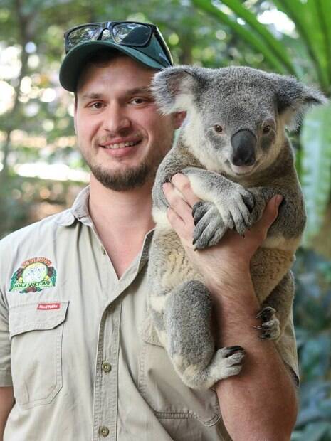 Você pode tirar foto com um coala no Santuário de Coalas de Lone Pine