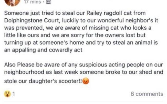 A dona do gato reclamando que tentaram rouba-lo