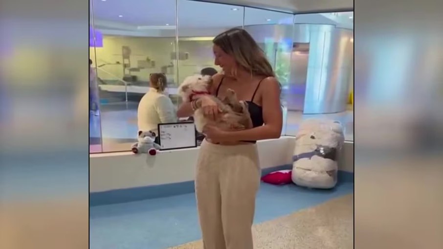 Cachorrinha dada como morta é reencontrada após 4 anos Cachorrinha dada como morta é reencontrada após 4 anos