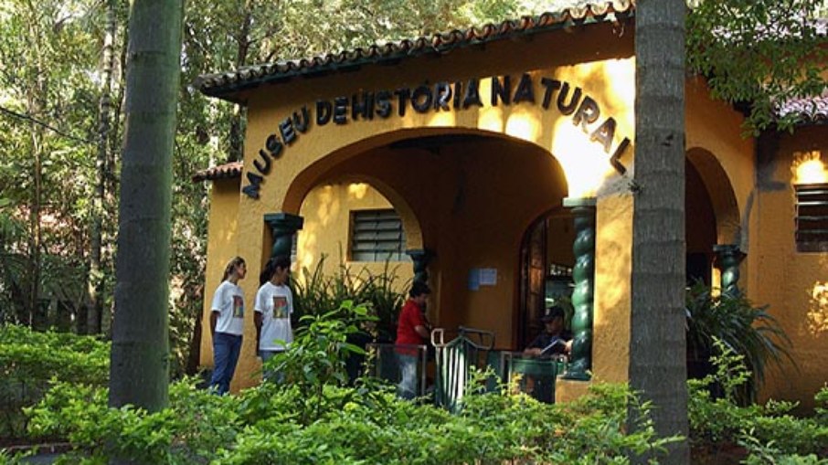 Museu de História Natural, do Bosque dos Jequitibás, fica em recesso até 8 de janeiro.