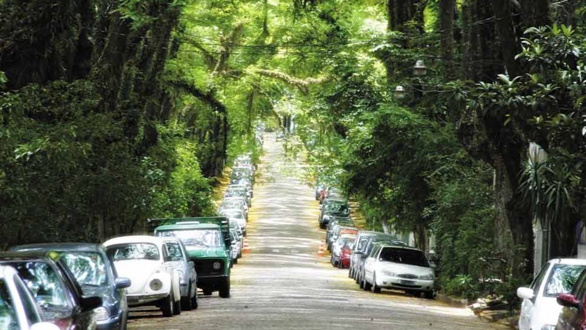 Conheça a “rua mais bonita do mundo” que
fica no Sul do Brasil - QTU Questões do Universo