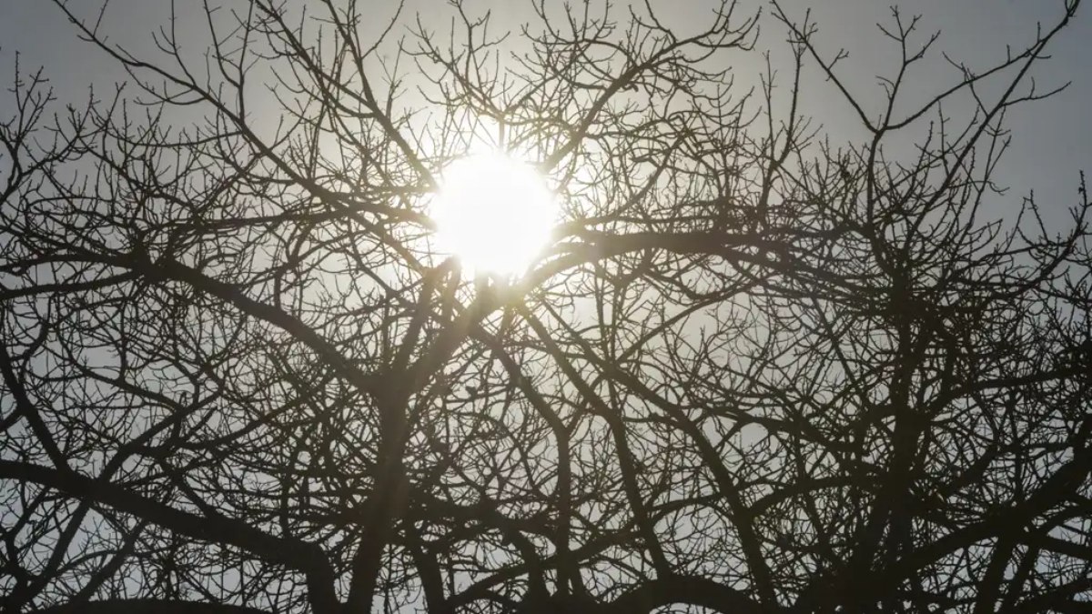 Agência internacional anuncia retorno do fenômeno La Niña