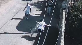Resgate dramático: família fica à deriva em praia de Ubatuba (SP)