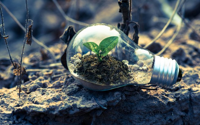 Sustentabilidade guia escolhas de 67% dos brasileiros Sustentabilidade guia escolhas de 67% dos brasileiros
