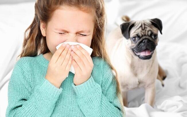A alergia impede muitas pessoas de ter um animal de estimação em casa