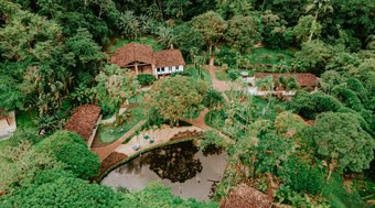 Fazenda%20Bananal%3A%20uma%20op%C3%A7%C3%A3o%20de%20turismo%20na%20Mata%20Atl%C3%A2ntica