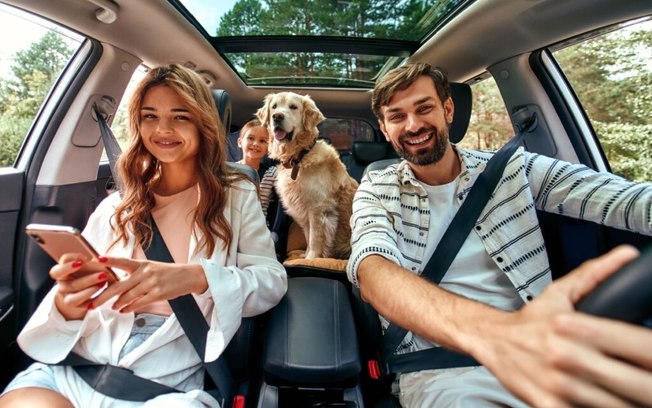 8 dicas para transportar animais no carro com segurança