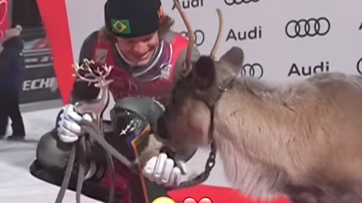 Brasileiro Conquista o Inesperado: Rena e Glória no Esqui Alpino!