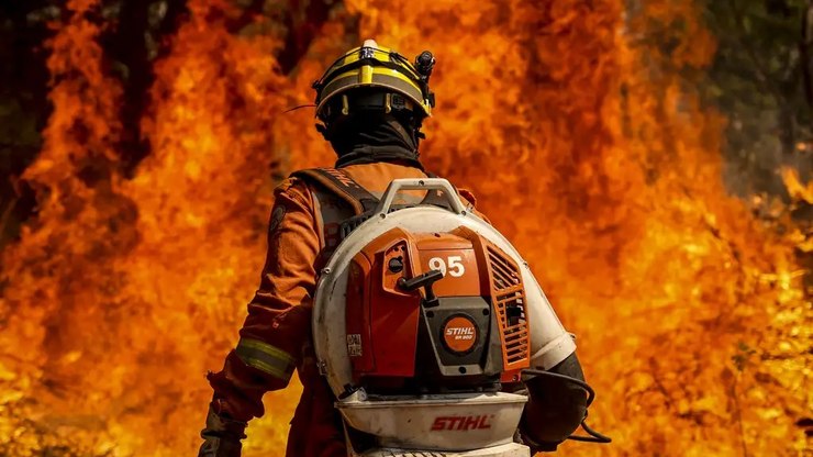 Câmara aprova aumento de pena para quem causa incêndio florestal