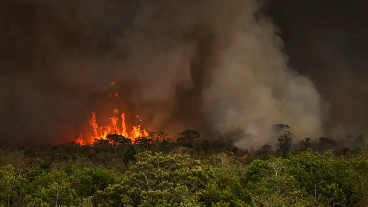  a Amazônia foi a mais afetada, representando 51% do total