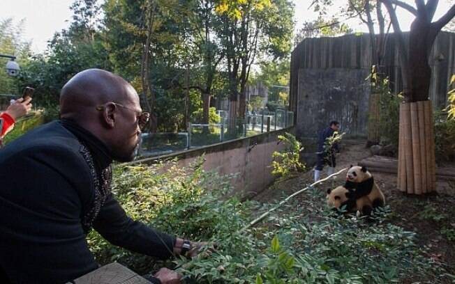 Floyd Mayweather adota seu panda adotivo, que recebeu o nome do pugilista