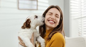 6 maneiras como o cachorro demonstra carinho por você
