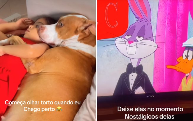 Pitbull encanta ao assistir Looney Tunes de conchinha com criança 34gvij5jzyxgfhl5x1tersp2l