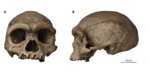 'Homem Dragão': Cientistas descobrem novo hominídeo que poderia mudar evolução