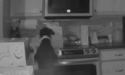Cachorro curioso acende fogão e inicia incêndio em casa; assista ao vídeo