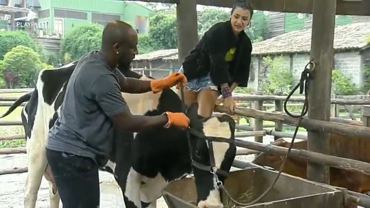 André Marinho e Bia Miranda tiveram problemas no trato dos animais em 'A Fazenda 14'