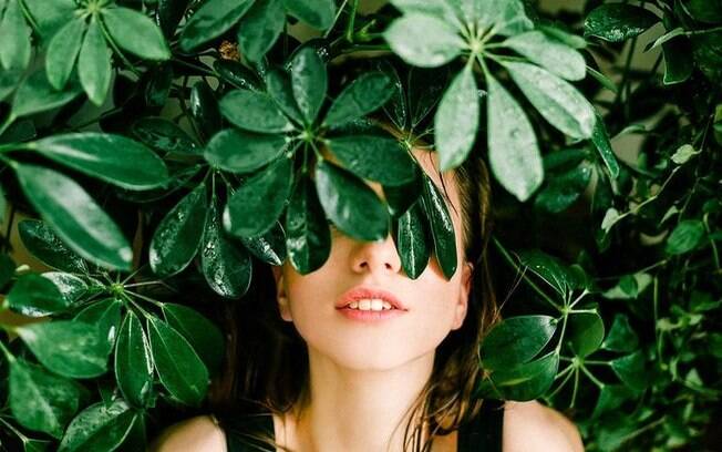 Oráculo das folhas: veja o que a natureza revela para você Oráculo das folhas: veja o que a natureza revela para você
