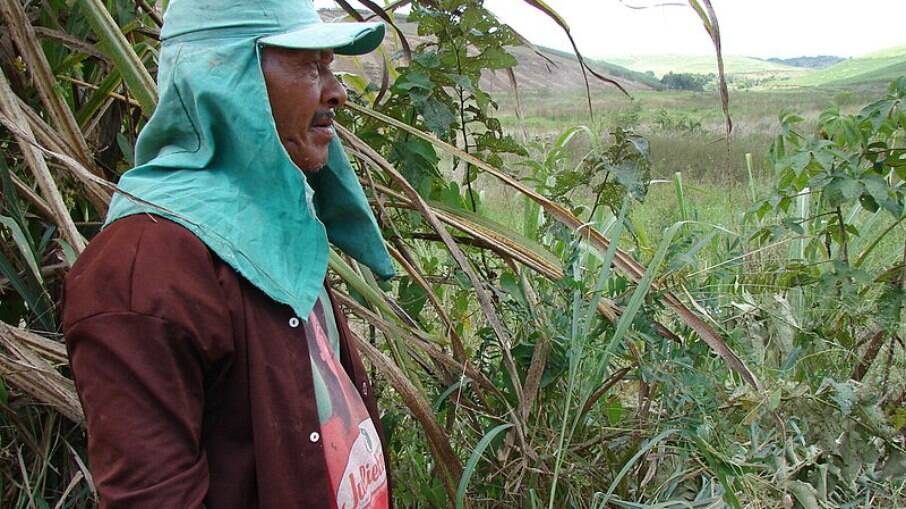 Veja como somar tempo de trabalho no campo e na cidade para se aposentar