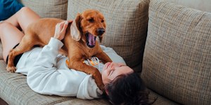 Como manter o sofá limpo mesmo com crianças e pets em casa?
