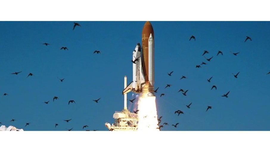 Pássaros voam durante lançamento de foguete da NASA