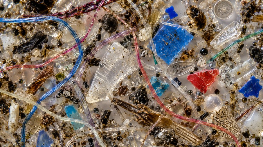 Microplásticos no sistema reprodutivo: cientistas encontraram material tóxico no sêmen, fluido folicular, placenta, líquido amniótico, cordão umbilical, sangue materno e mecônio Microplásticos no sistema reprodutivo: cientistas encontraram material tóxico no sêmen, fluido folicular, placenta, líquido amniótico, cordão umbilical, sangue materno e mecônio