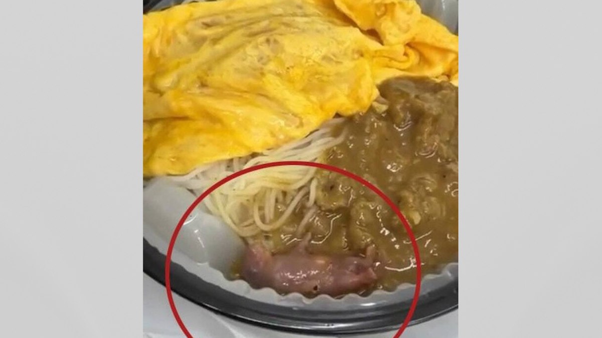 Animal estava vivo dentro de marmita lacrada recebida pela cliente