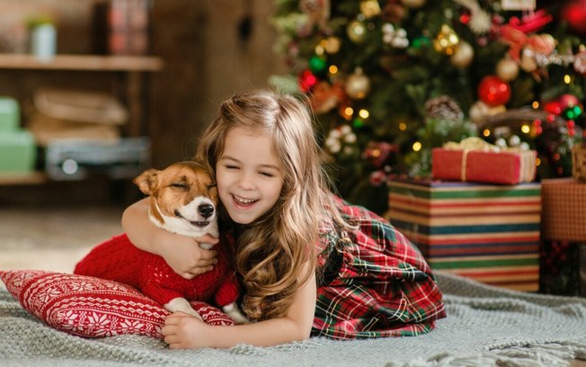 5 dicas para tornar o fim de ano mais agradável para os cachorros