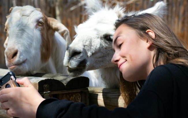 Humanos passam mais vírus para animais do que o oposto