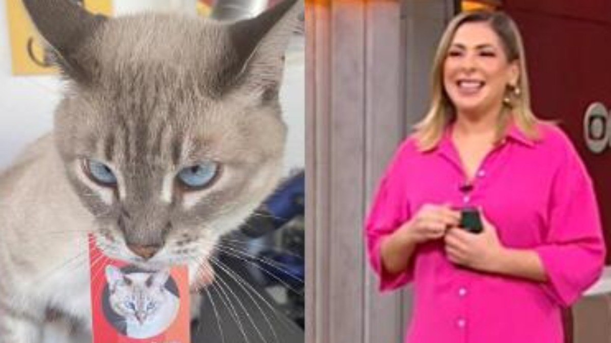 Daniela Lima fica encantada com crachá de Renata, gata de Fernando Gabeira, no Conexão GloboNews