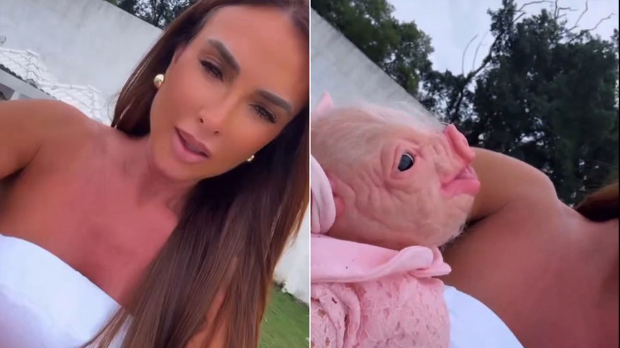 Nicole Bahls com um bebê reborn de porco Nicole Bahls com um bebê reborn de porco