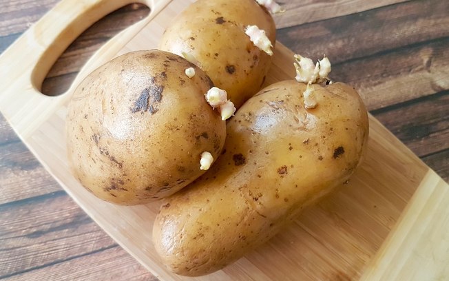 É seguro comer batata com broto nascendo? Veja quando jogar fora