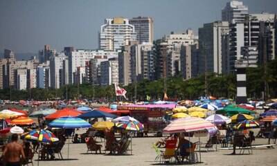 Começa a valer lei que permite cachorros em praia de Santos