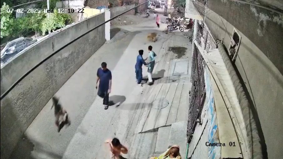 Leão ataca mulher e crianças no Paquistão