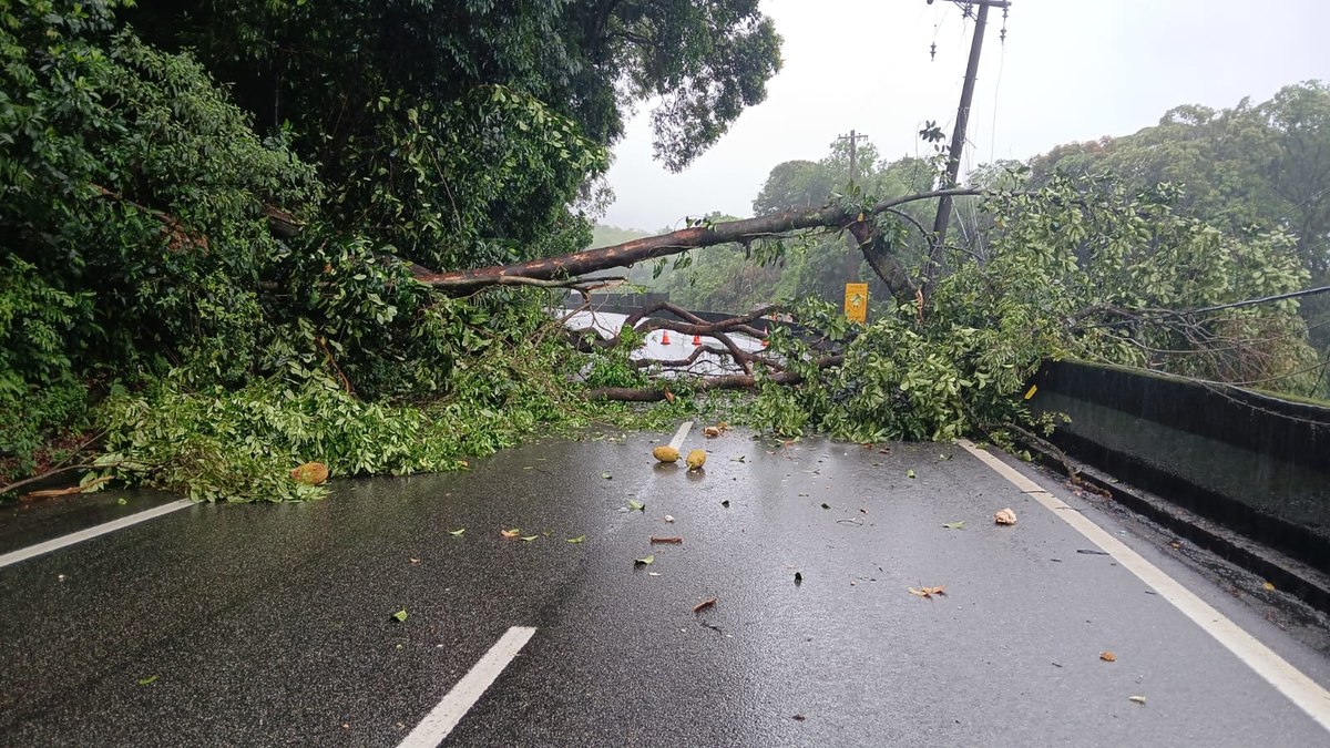 O trânsito segue parado do km 54 ao km 51 O trânsito segue parado do km 54 ao km 51