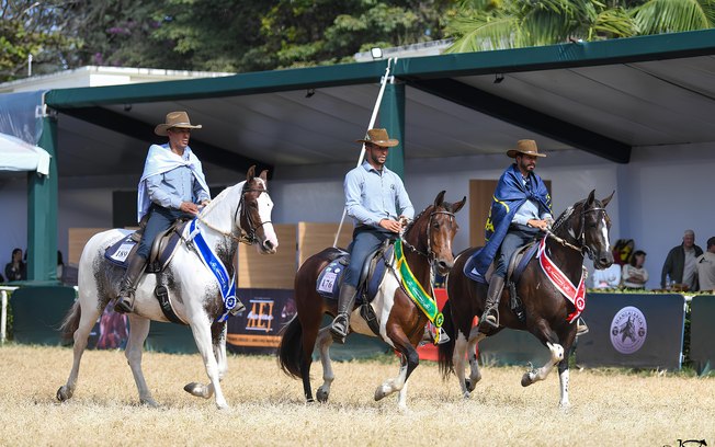 Cavalo da raça Mangalarga estreia na Agrishow Cavalo da raça Mangalarga estreia na Agrishow
