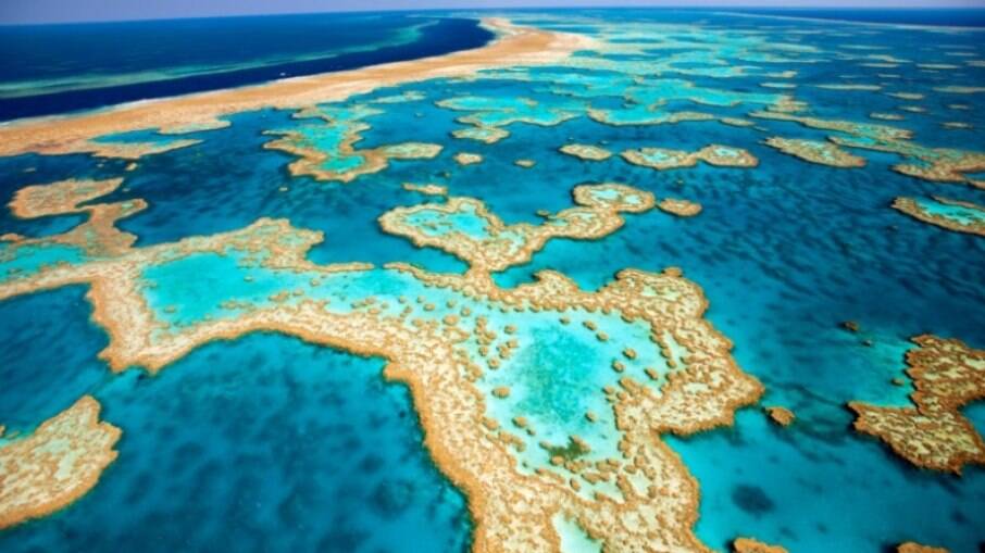 Governo australiano foi pressionado para preservar região da Grande Barreira de Corais