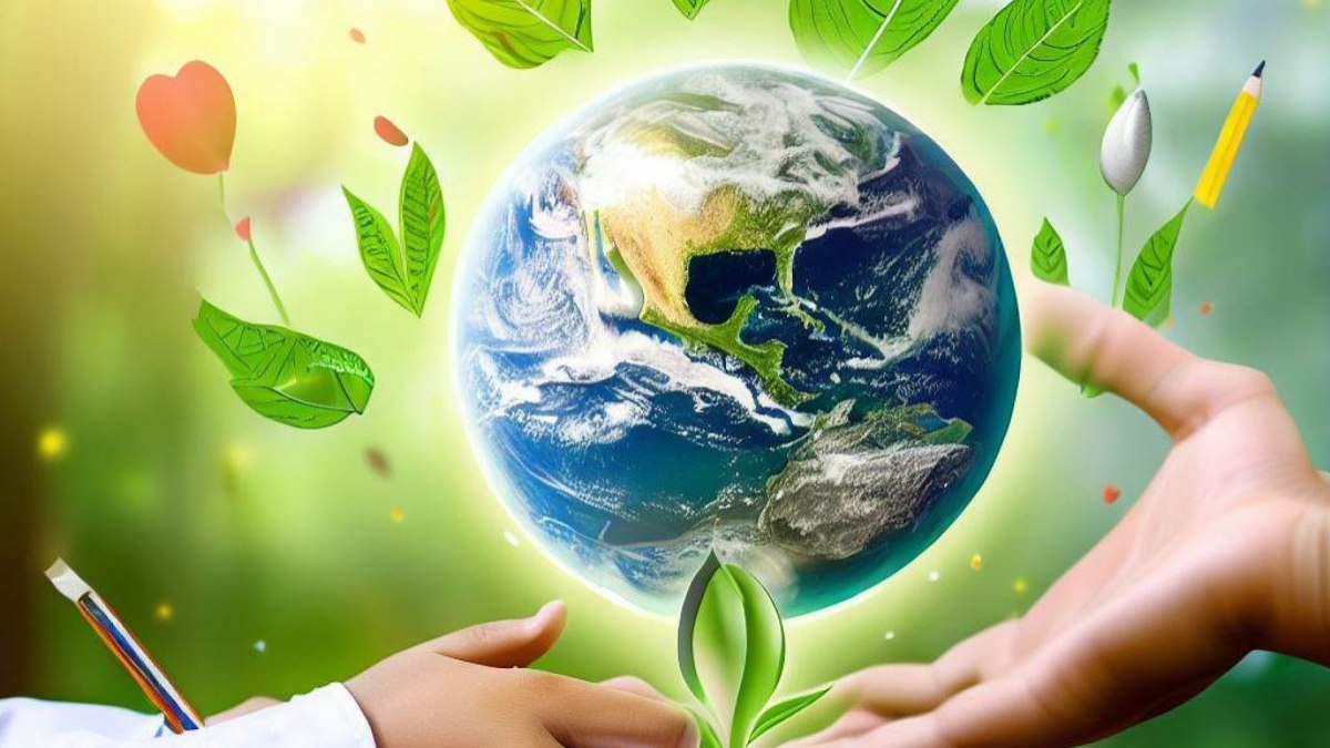 Entenda tudo sobre a questão ambiental - Blog do Portal Educação