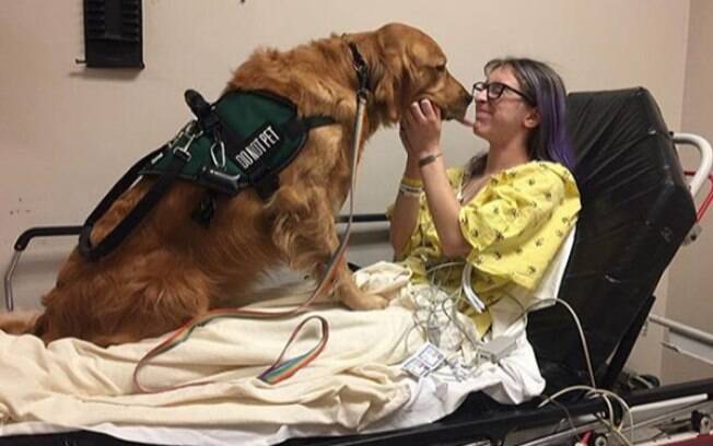 A terapia assistida por animais é um método fundamental para o tratamento de pacientes em hospitais
