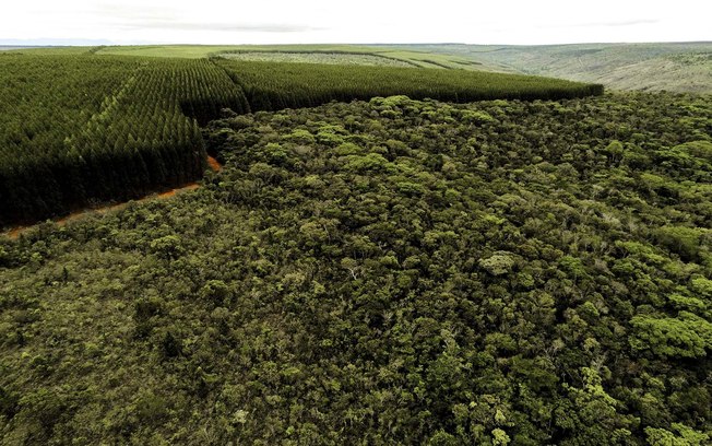 Setores produtivos ampliam ações ambientais em Minas Gerais