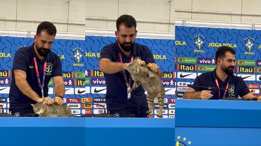 Web culpa assessor da CBF, que jogou gato, por derrota na Copa do Mundo