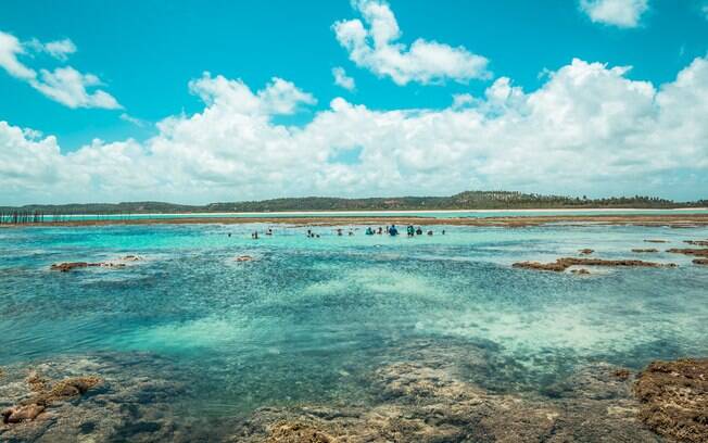 Maragogi é um destino lindo, com águas cristalinas lembrando o Caribe