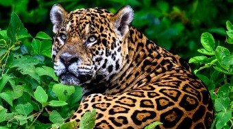 Turismo%20transforma%20a%20antiga%20inimiga%20em%20aliada%20valiosa