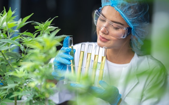 Mercado de Cannabis medicinal deve atingir R$ 1 bi em 2025